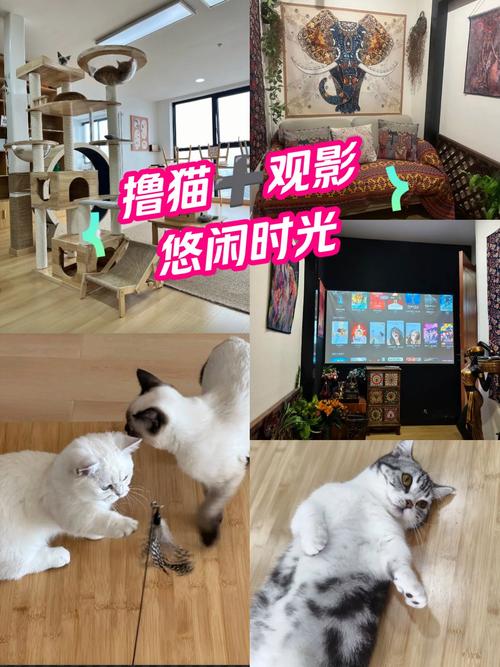 人妻啪啪啪啪啪的相关介绍