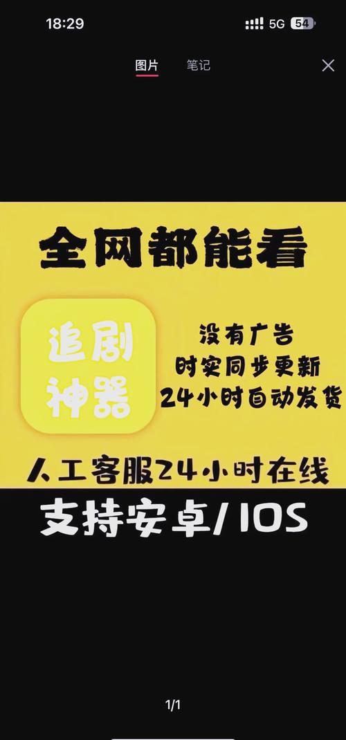 老司机影院手机在线观看免费的相关介绍