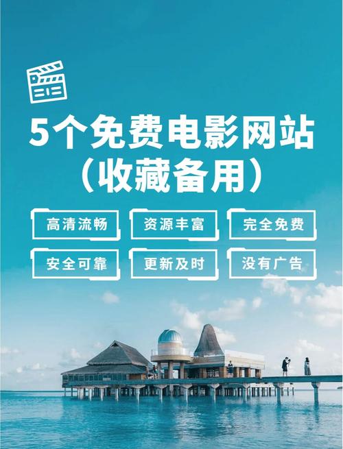 成人影院网的相关介绍