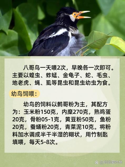 5d影院的相关介绍