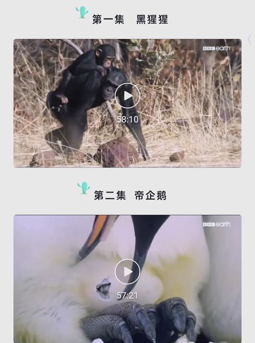 av天堂黑丝图片在线的相关介绍