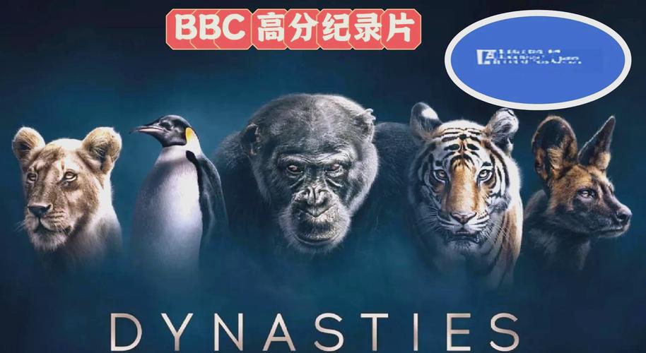 少妇 av的相关介绍