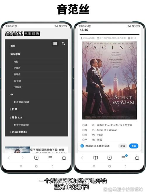 深圳电影院最新电影的相关介绍