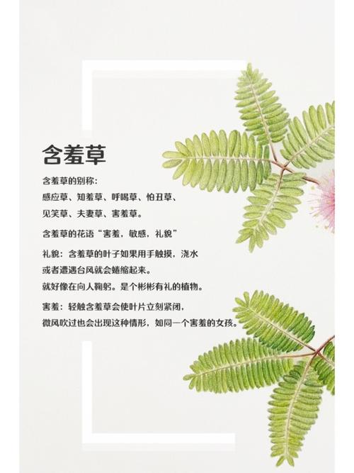 4虎影院永久网址直播的相关介绍