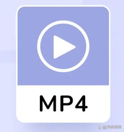 麻豆91传媒视频的相关介绍