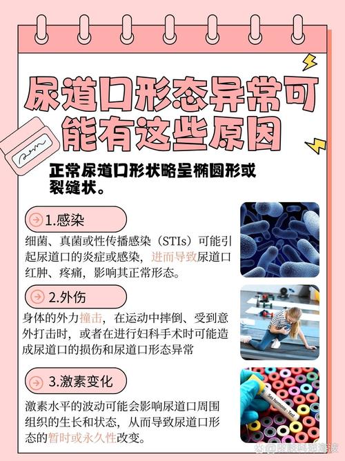 日本高清熟妇老熟妇xxx的相关介绍