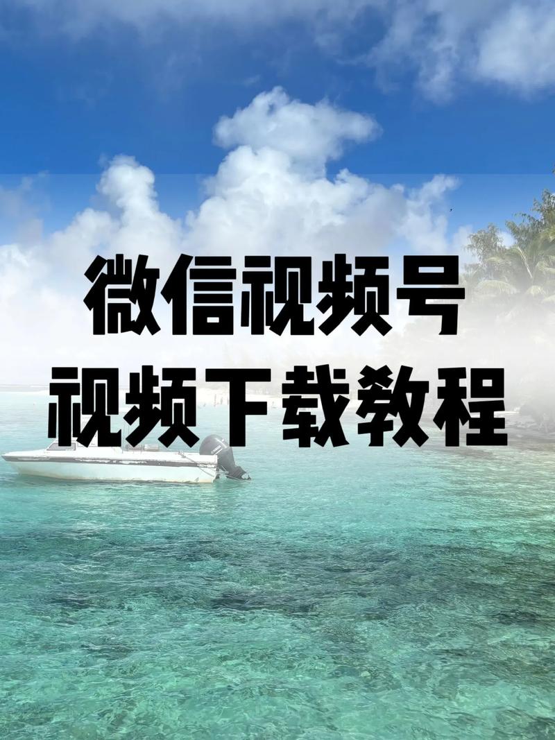 女老师操我的相关介绍