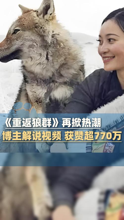 男女大尺度冒白浆20p的相关介绍