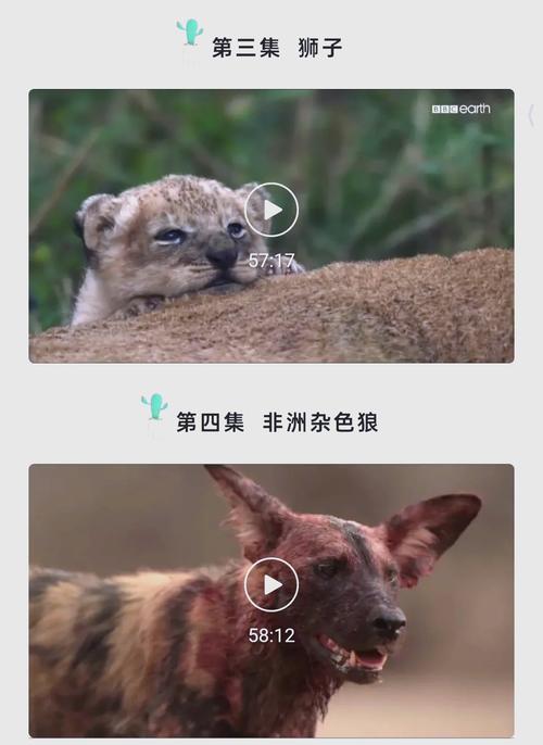 午夜成人免费爽爽影院的相关介绍