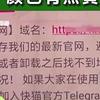 .欧美老熟妇xxx的相关介绍