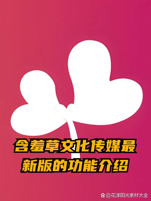 日照电影院的相关介绍