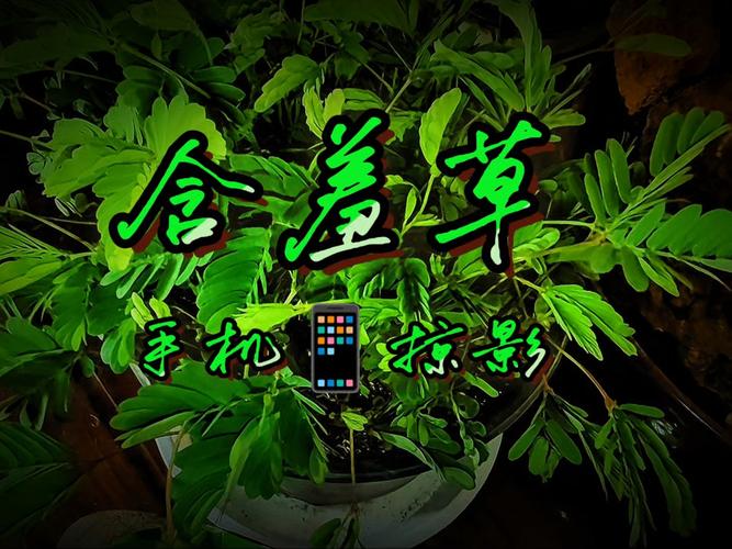 万象城电影院的相关介绍