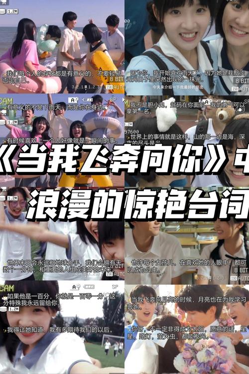 成年人该看的毛片的相关介绍