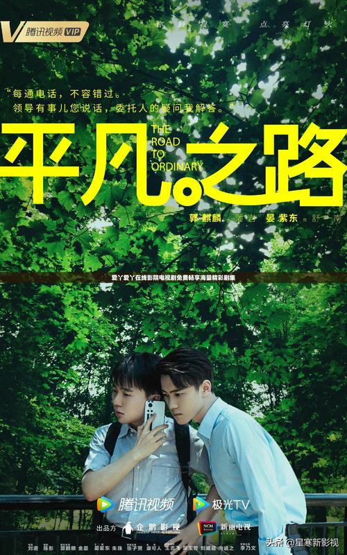在线电影院的相关介绍