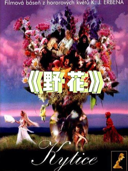 万达广场电影院的相关介绍