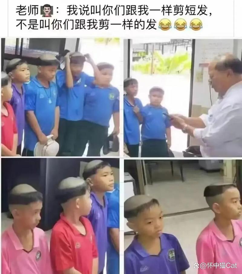 神马影院不卡手版中文的相关介绍
