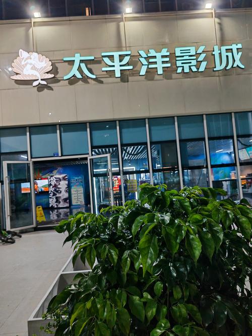 欧美一第一页草草影院的相关介绍