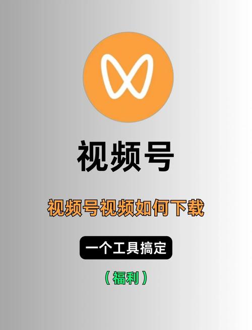 免费观看视频app下载大全的相关介绍