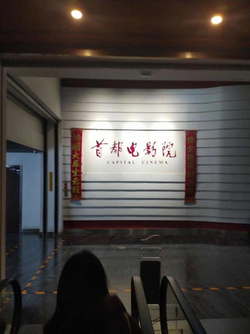 全国影院排名的相关介绍