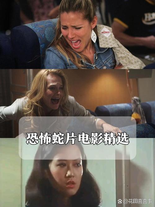高清亚洲毛片的相关介绍