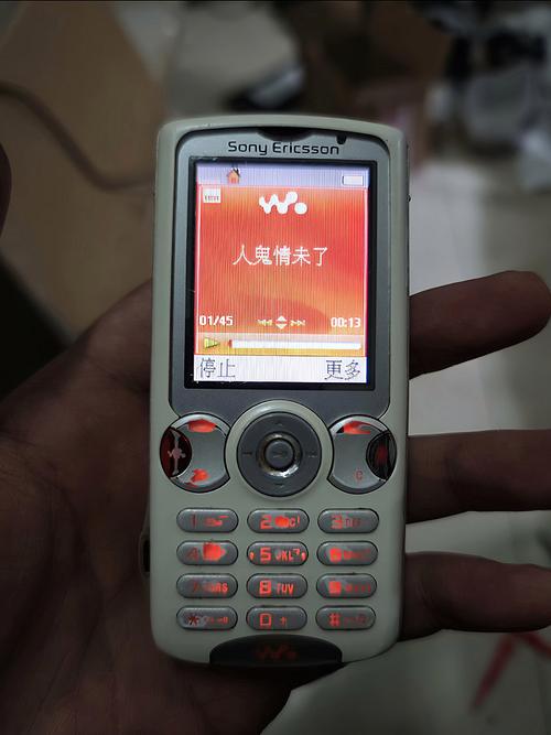 小叶影院的相关介绍