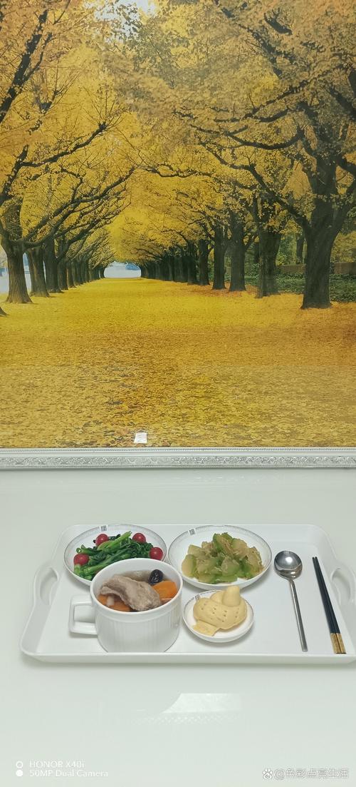 18黄色免费app的相关介绍