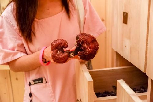 神马影院手机在线观看真心网的相关介绍