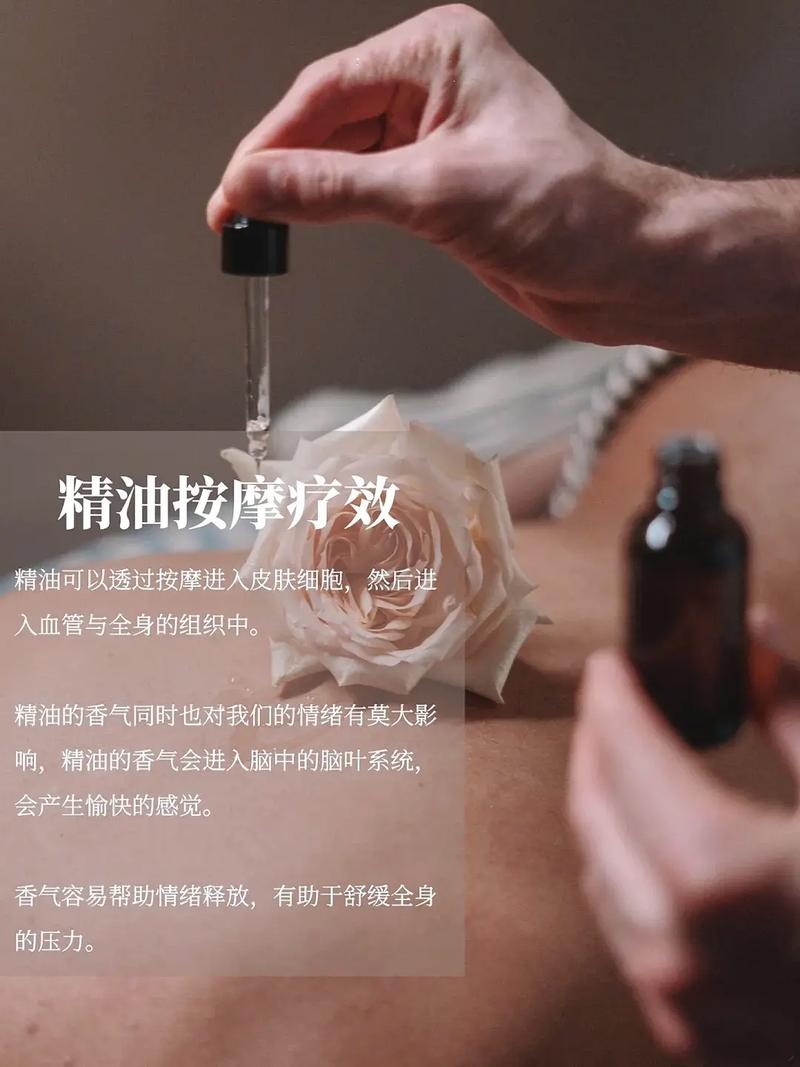免费观看视频软件有哪些app的相关介绍