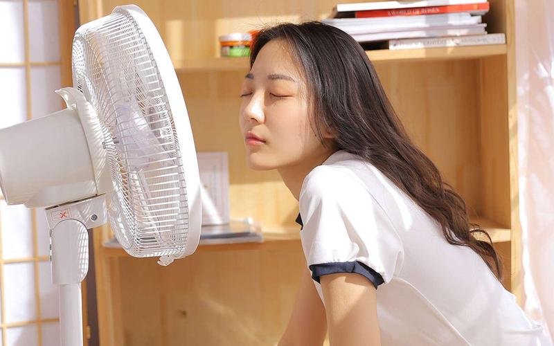 上海影院的相关介绍