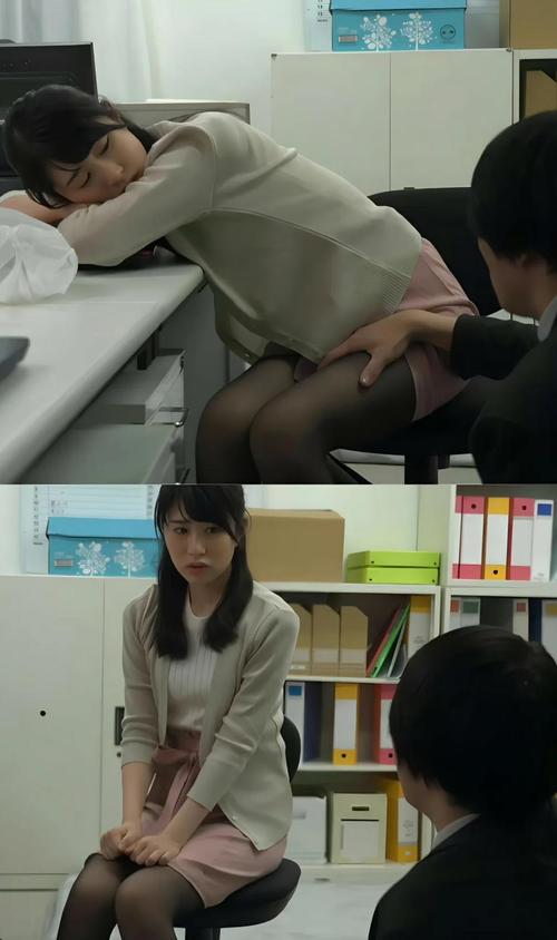 调教骚货bl高h的相关介绍