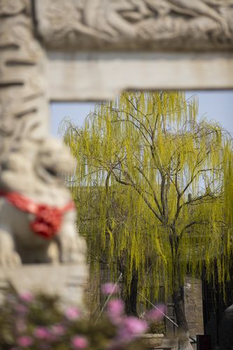 搭讪人妻在线91的相关介绍