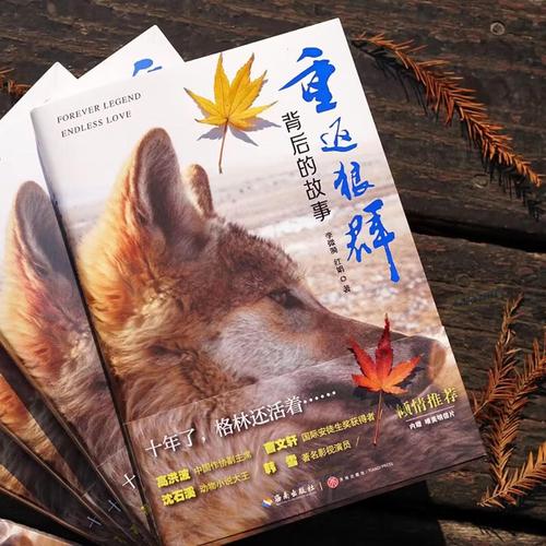 深圳万象城电影院的相关介绍