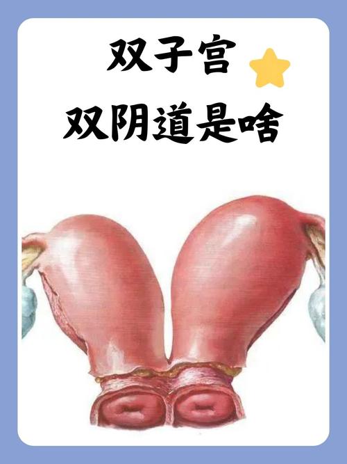 在线亚洲天堂男人的相关介绍