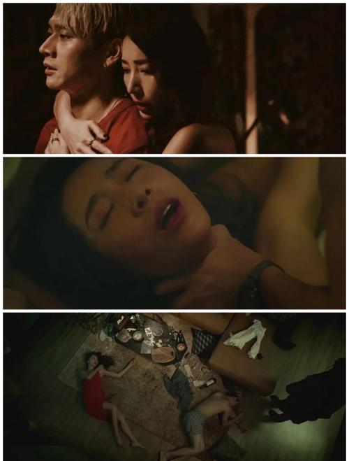 东北农村毛片的相关介绍