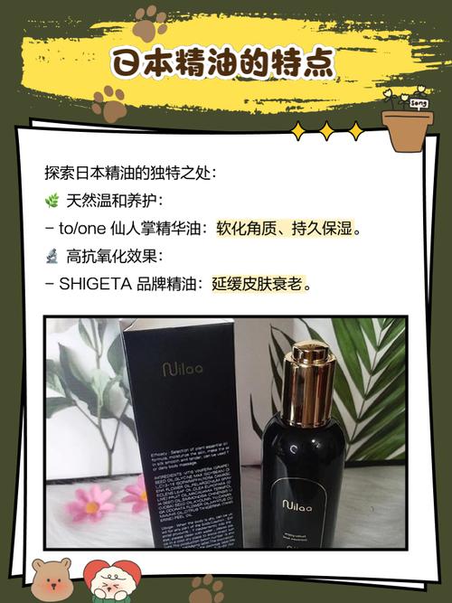 4080新视电电影院大全的相关介绍