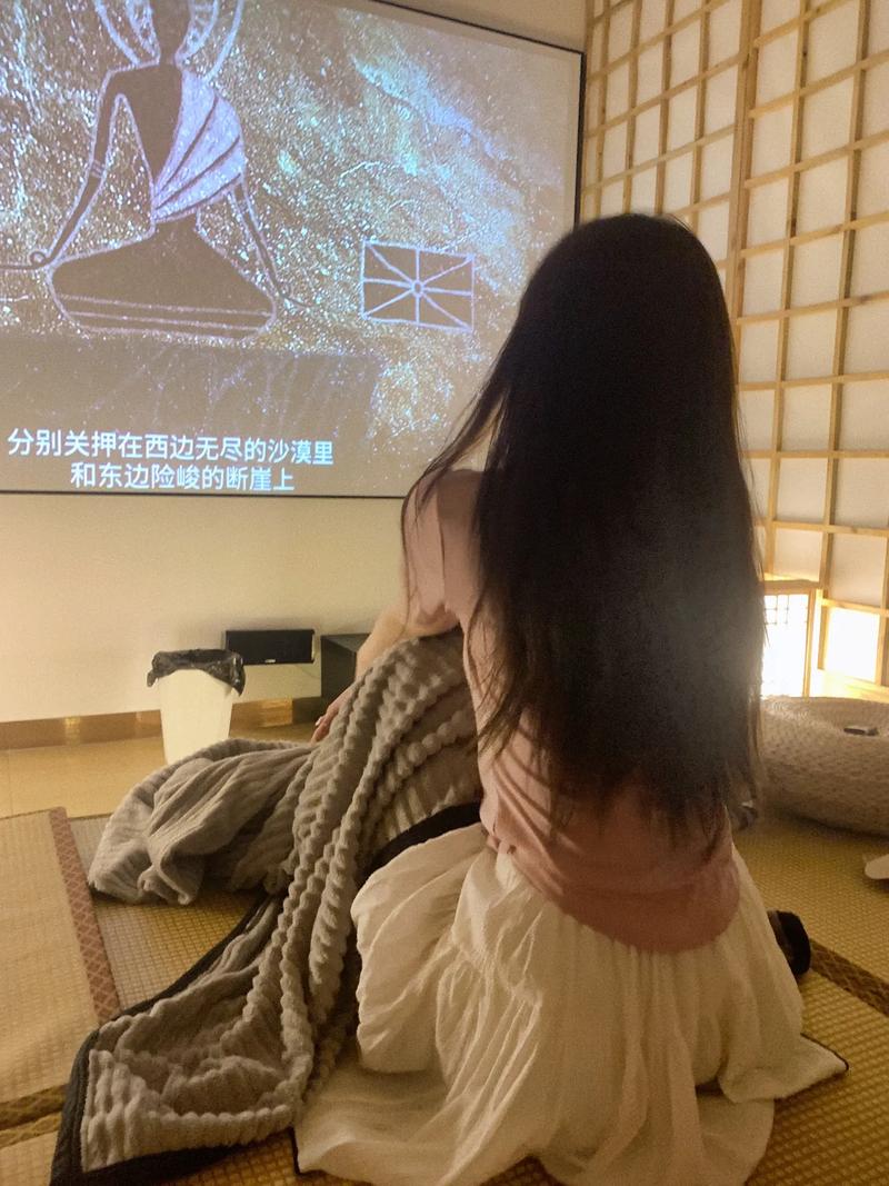 天天影院的相关介绍