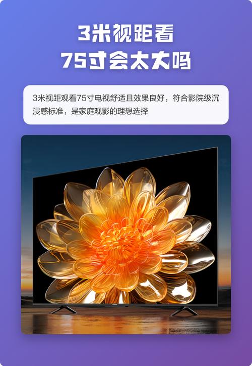 欧美亚洲国产一区二区三区va的相关介绍