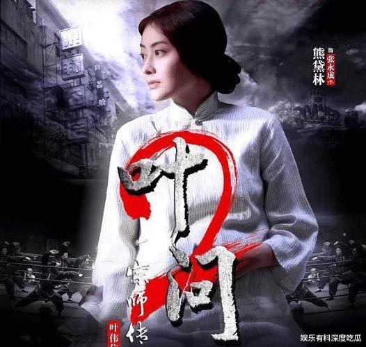 成人极品影院的相关介绍