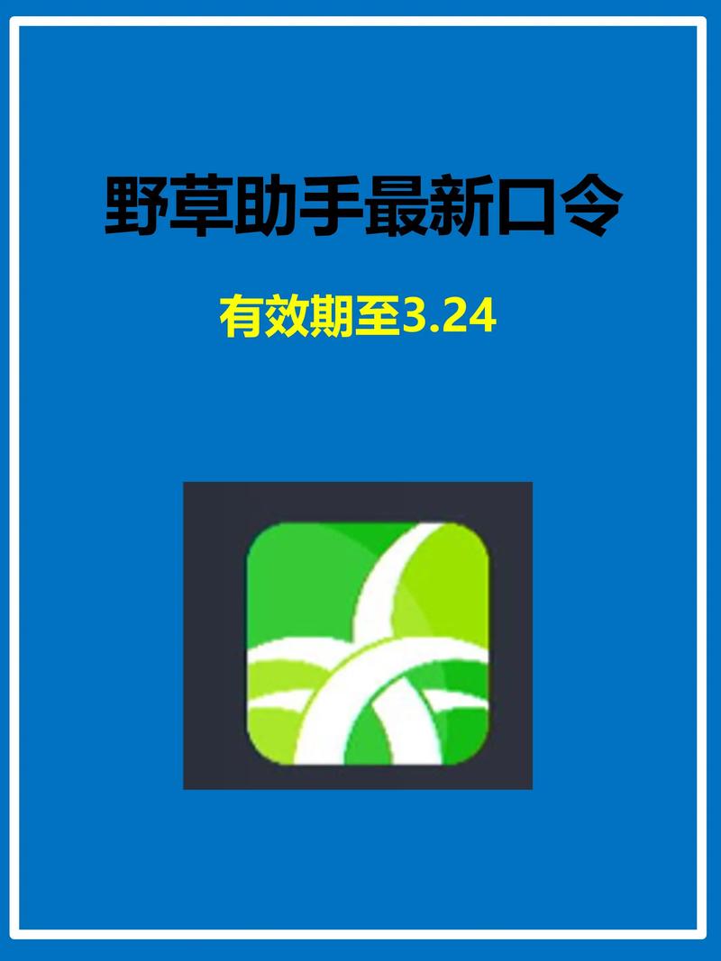 不卡无毒毛片网站的相关介绍