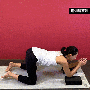 美女美乳插插毛片av的相关介绍