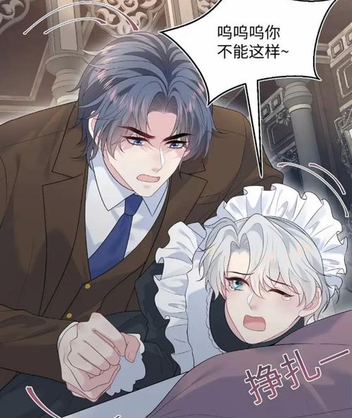 意大利三级伦理的相关介绍