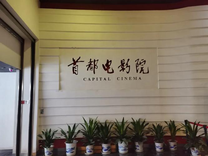 飘零电影院的相关介绍