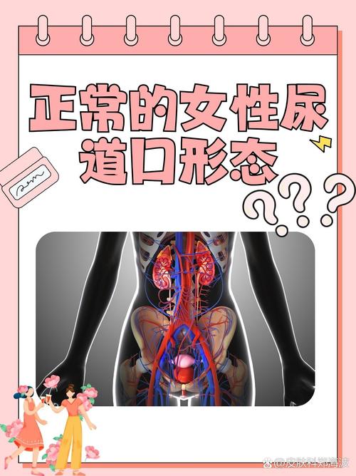 欧美18禁网站在线的相关介绍