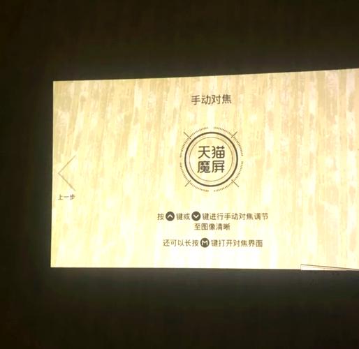 亚洲成熟少妇的相关介绍