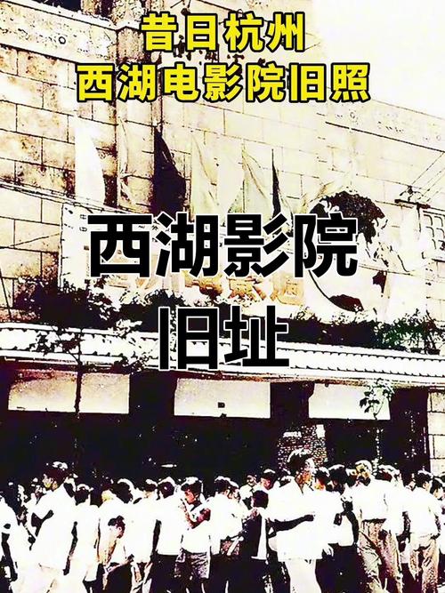 国产丰满熟妇av的相关介绍