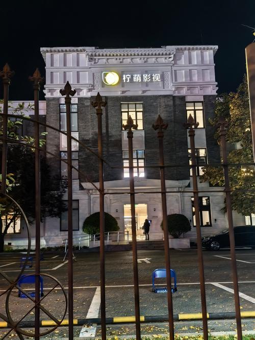 国产精品久久久久久夜夜夜的相关介绍