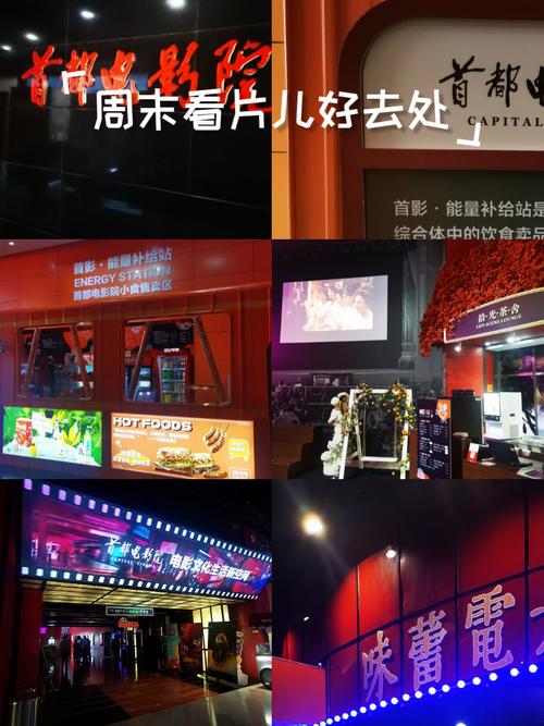 yy4010新视觉影院大全网的相关介绍