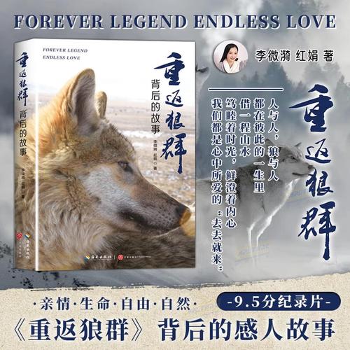 奇米影视777四色米奇影院的相关介绍