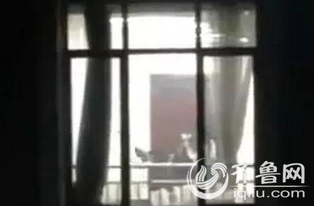 亚洲自拍少妇的相关介绍