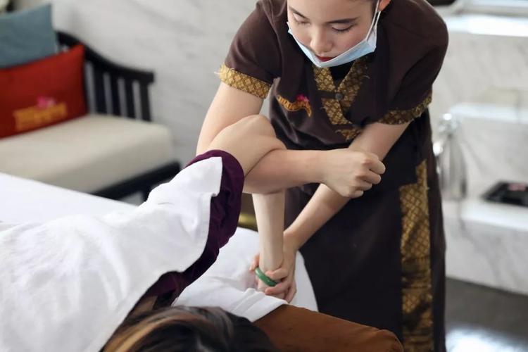 操我的美女老师的相关介绍